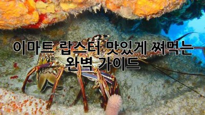 이마트 랍스터 맛있게 쪄먹는 완벽 가이드!
